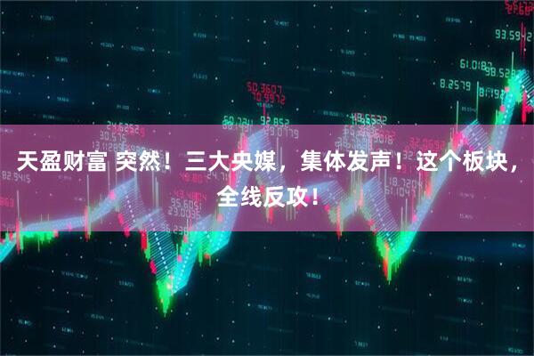 天盈财富 突然！三大央媒，集体发声！这个板块，全线反攻！