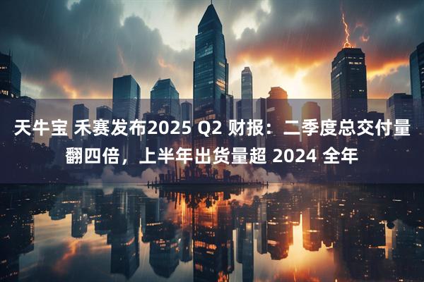 天牛宝 禾赛发布2025 Q2 财报：二季度总交付量翻四倍，上半年出货量超 2024 全年